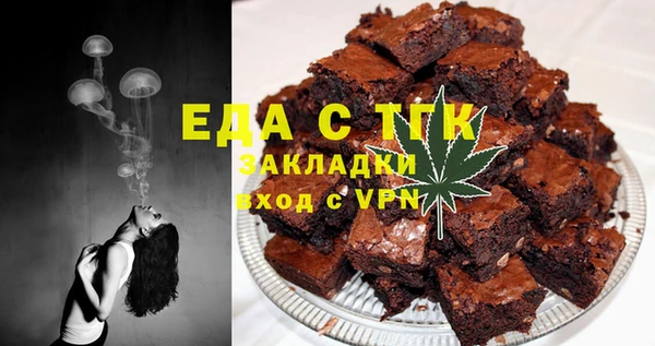 хмурый Алексин