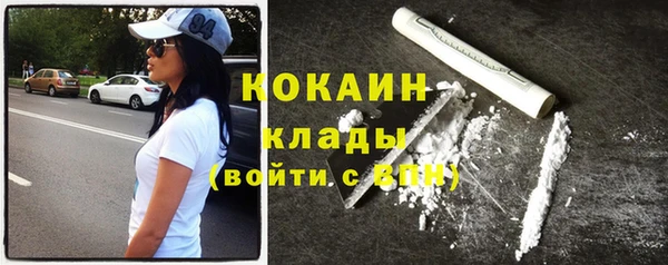 хмурый Алексин