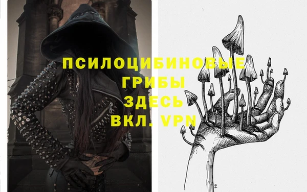 крисы Абинск