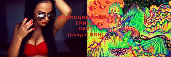 хмурый Алексин