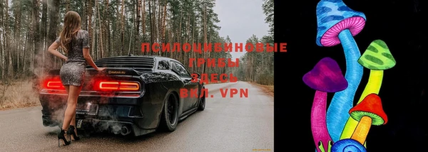 хмурый Алексин