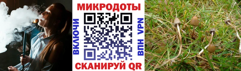kraken как войти  Лиски  площадка какой сайт  Галлюциногенные грибы прущие грибы 