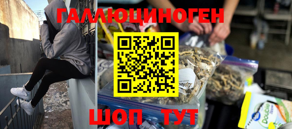 Лиски  Псилоцибиновые грибы MAGIC MUSHROOMS  Вход с VPN 
